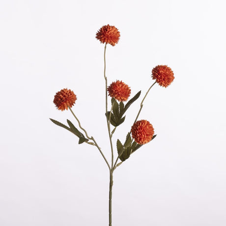 Gompy spray orange x5 51 cm