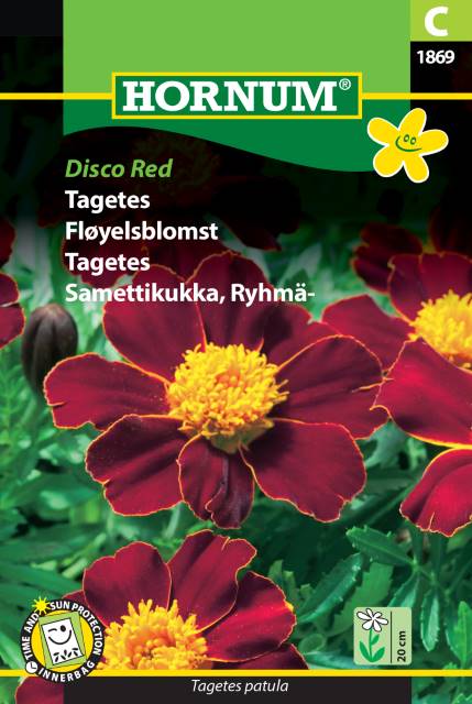 Sammetstagetes 'Disco Red' frö