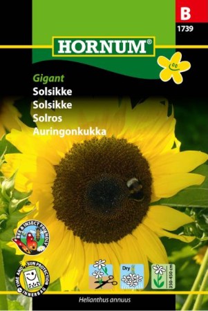 Solros 'Gigant' frö