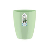 Brussels Orchid High 12,5cm Soft Green
