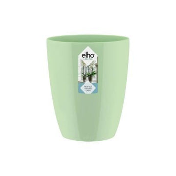 Brussels Orchid High 12,5cm Soft Green