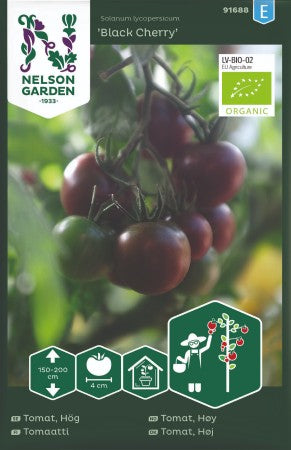 Cocktailtomat 'Black Cherry' EKO