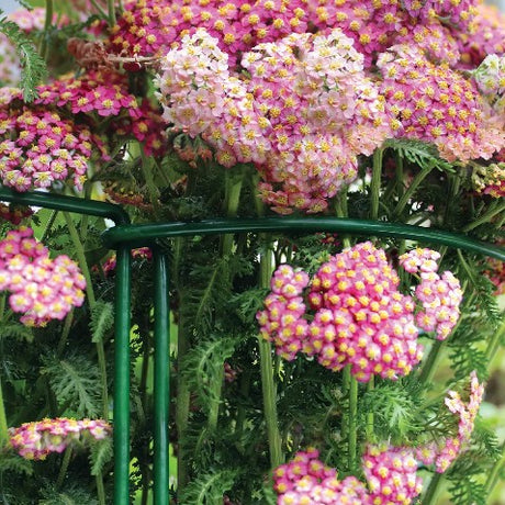 Buskstöd i Metall Grön 45cm - 2st