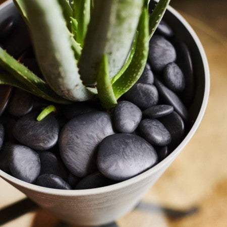 Dekorationssten Pebbles BLACK