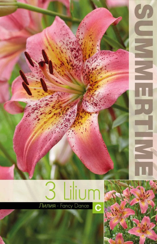 Lilja 'Fancy Dance' 3st