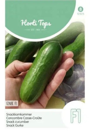 Salladsgurka 'Iznik' F1