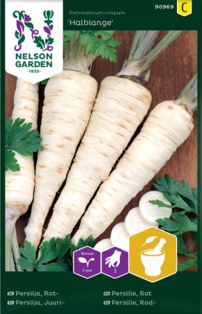 Rotpersilja 'Halblange'