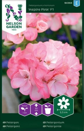 Pelargon 'Inspire Pink' F1 frö