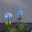 Solcellsdekoration Hortensia Blå