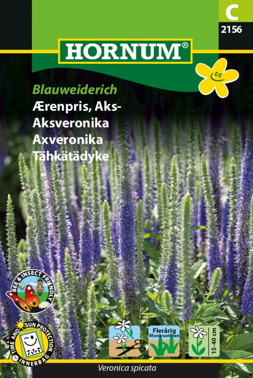 Axveronika 'Blauweiderich'