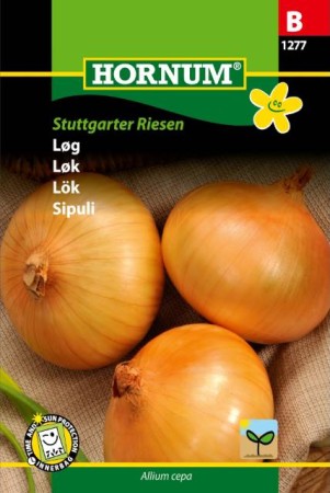 Lök 'Stuttgarter Riesen' frö