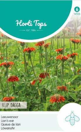 Sommarlejonöra 'Klip Dagga'