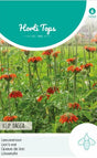Sommarlejonöra 'Klip Dagga'