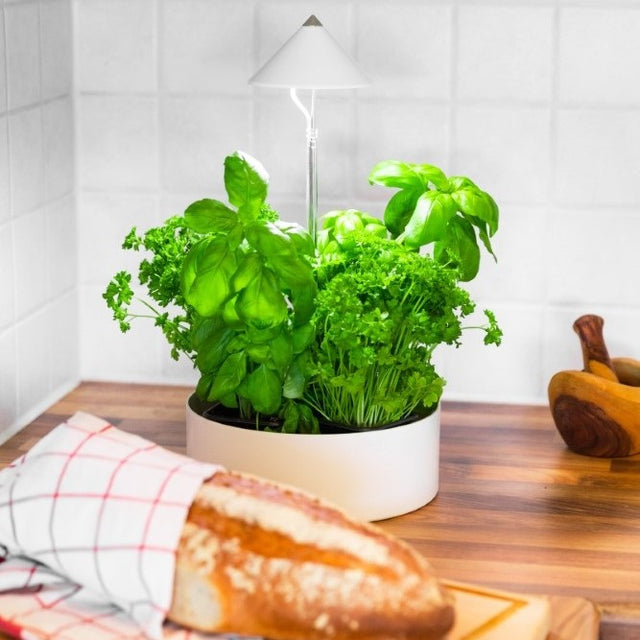 Sunlite MiniHerb S ø23cm m. tråg