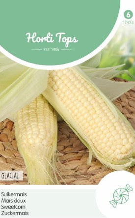 Sockermajs 'Glacial'