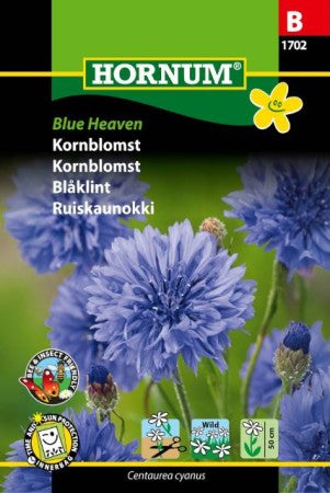 Blåklint 'Blue Heaven' frö