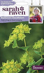 Harört 'Griffithii'