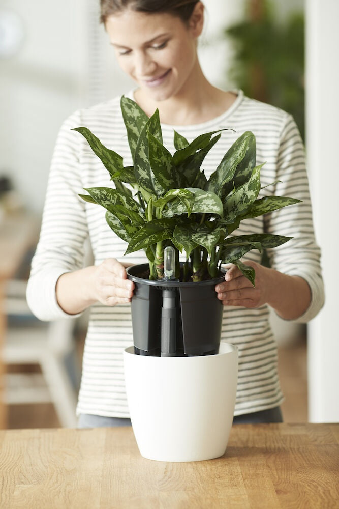 Självbevattning Insatskruka 33cm