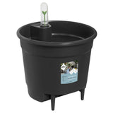 Självbevattning Insatskruka 33cm
