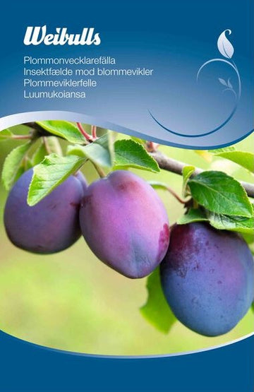 Feromonfälla Plommonvecklare