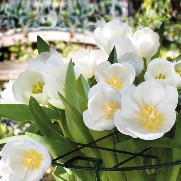 Växtstöd 'Multi Stem' 75cm - 1st