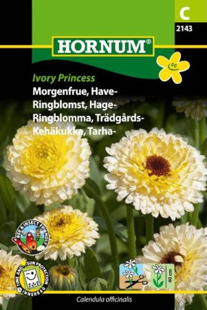 Ringblomma 'Ivory Princess'