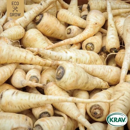 Palsternacka 'Guernsey' KRAV-märkt