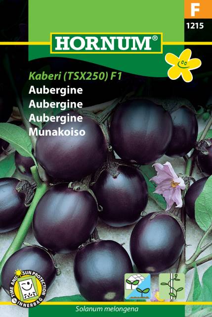 Aubergin 'Kaberi' F1 frö