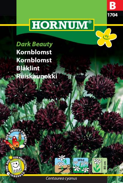 Blåklint 'Dark Beauty' frö