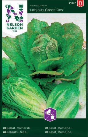 Romersksallat 'Lobjoits Green Cos'