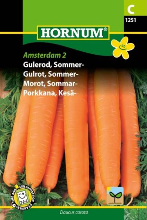 Sommarmorot 'Amsterdam 2' frö