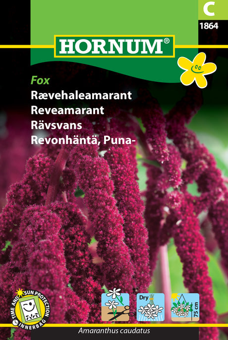 Rävsvans Amarant 'Fox' frö