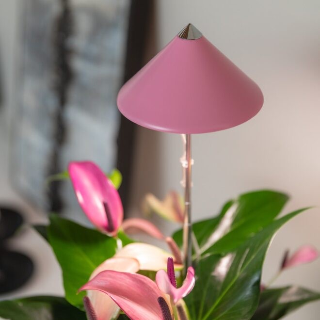 Sunlite växtlampa Rosa - 7W