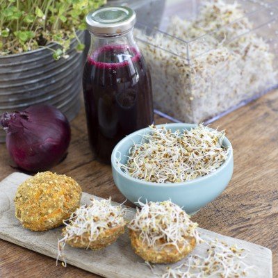 Sproutly: EKO Alfalfafrön 180g