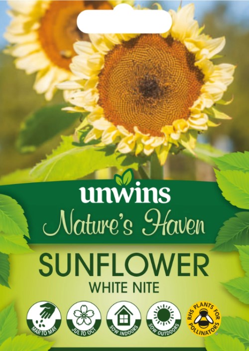 Solros Pollenfri 'White Nite'