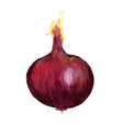 Röd Lök 'Robelja'