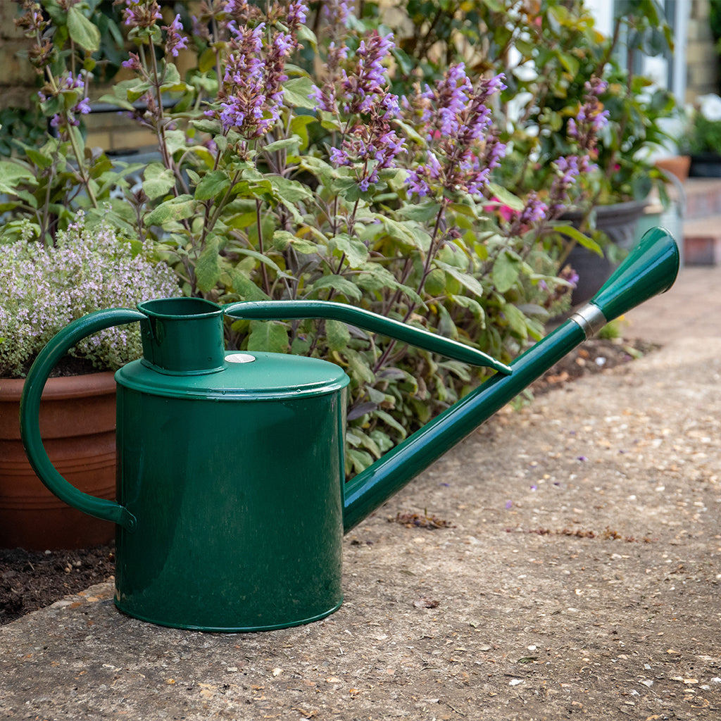 Kent & Stowe Vattenkanna - Green 9l