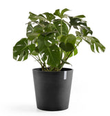Kruka 'Amsterdam 50' Dark Grey D50,5cm