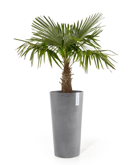 Kruka 'Amsterdam Mid High 66' Grey H66cm