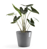 Kruka 'Amsterdam 30' Grey D30cm