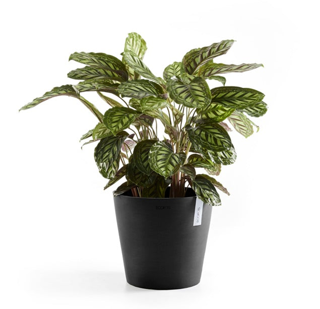 Kruka 'Amsterdam 40' Dark Grey D40cm