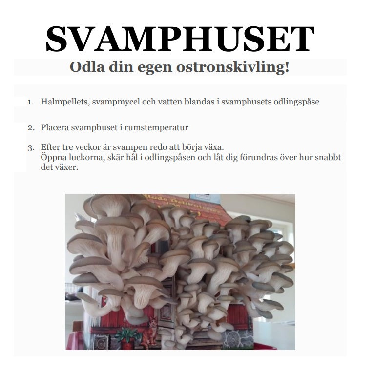Svamphus Grå ostronskivling