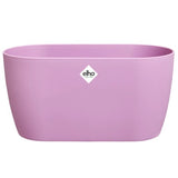 Brussels Orchid Duo 25cm Soft Pink