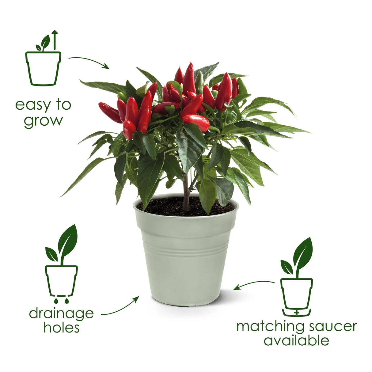 Green Basics Growpot 11cm - Terracotta