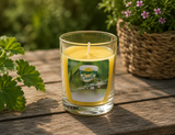 Doftljus i Glas 'Citronella' 5x6cm