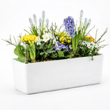 Odlingslåda 'Berberis 40' White