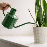 Vattenkanna Inomhus 'Sage Green' 1l