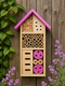 Insekter