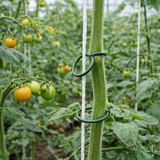 Uppbindningsringar, 25 mm - 1 kg