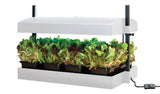 Växtbelysning 'Grow Light Garden' LED White